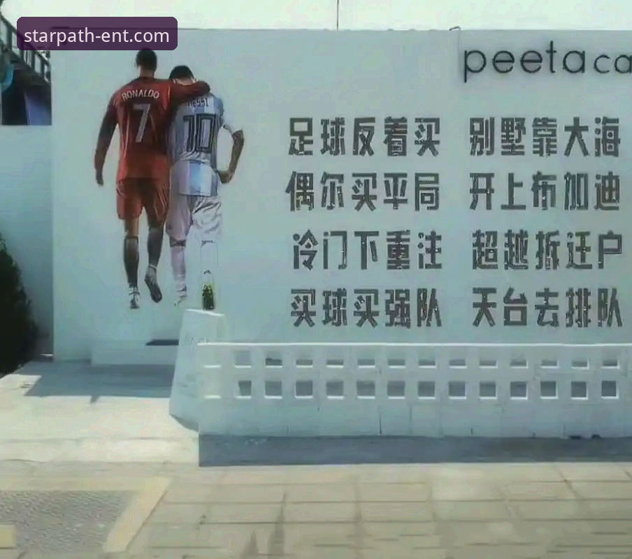 阿根廷锋线新星重伤憾别世界杯，星空入口平台深度解析战术影响